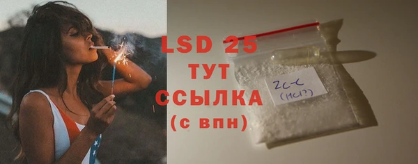 ГАЛЛЮЦИНОГЕННЫЕ ГРИБЫ Алзамай