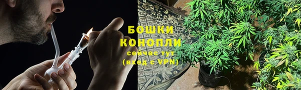 прущие грибы Алексеевка