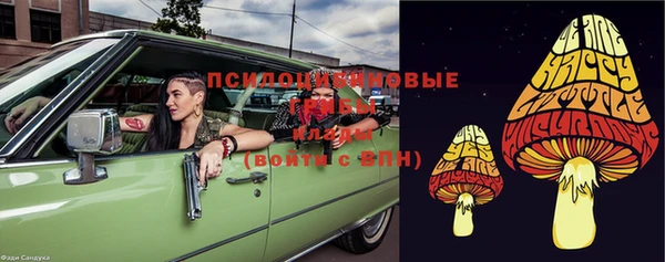 ГАЛЛЮЦИНОГЕННЫЕ ГРИБЫ Алзамай