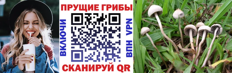 Галлюциногенные грибы GOLDEN TEACHER  Зуевка 